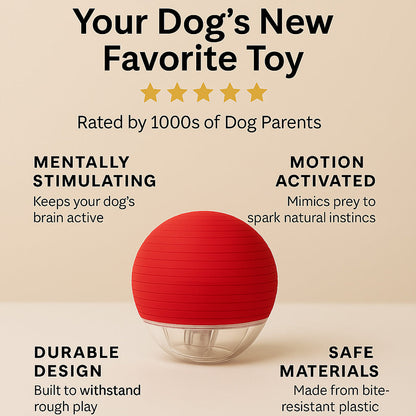 Floova ActivePaw™ Smart Toy