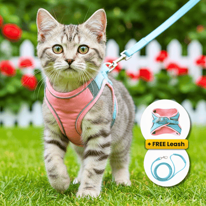 FLOOVA SafePaw™ Cat Harness & Leash Set
